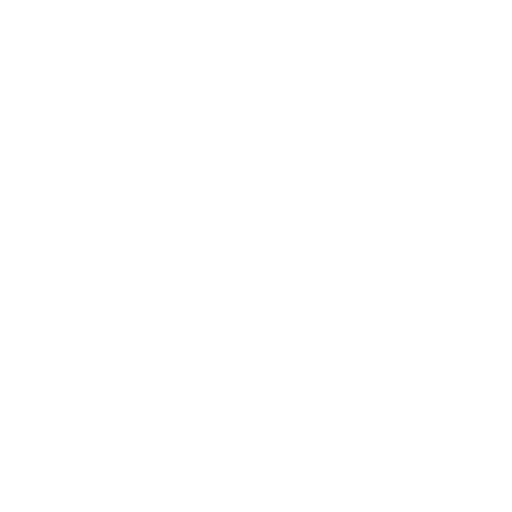 FESTIVAL EN ÓRBITA